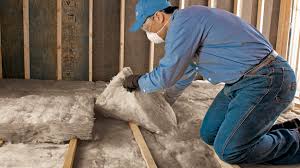 Best Insulation Removal  in Bellevue, IA