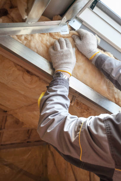 Best Insulation for Existing Homes  in Bellevue, IA