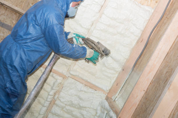 Best Insulation for New Construction  in Bellevue, IA