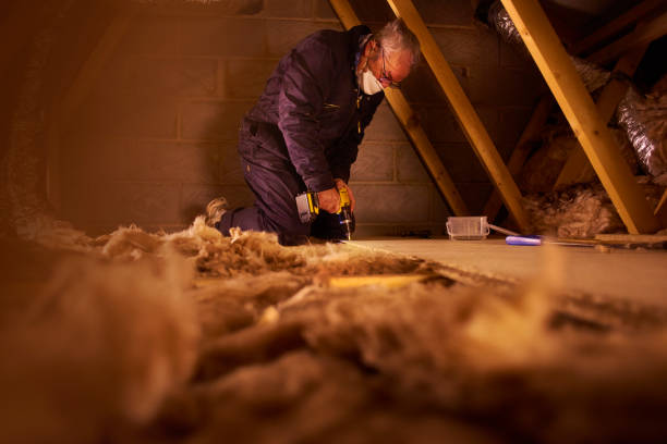 Best Eco-Friendly or Green Insulation Solutions  in Bellevue, IA